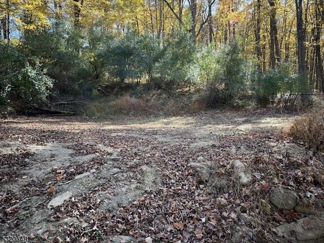 view of local wilderness