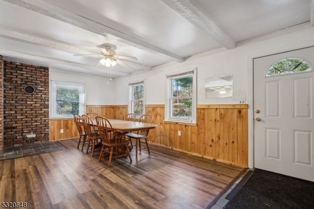 dining room featuring beamed ceiling, ceiling fan, dark hardwood / wood-style floors, and wood walls