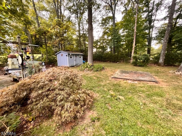 view of yard with a storage unit