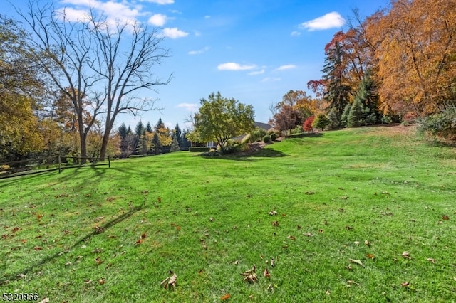 view of yard