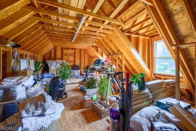 view of unfinished attic