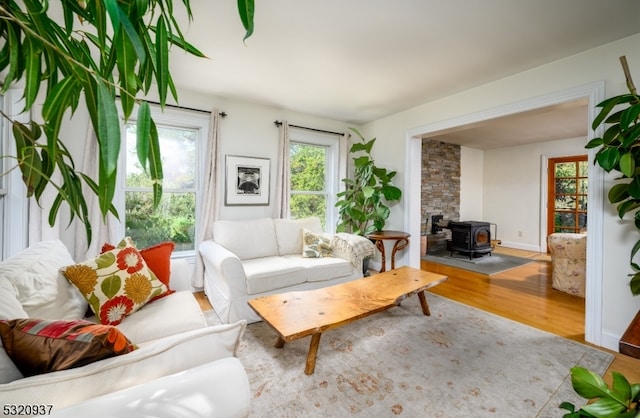 living room featuring hardwood / wood-style floors and a wood stove