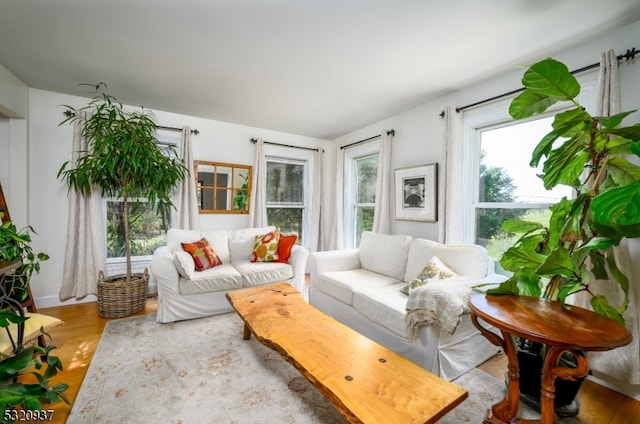 living room featuring hardwood / wood-style floors