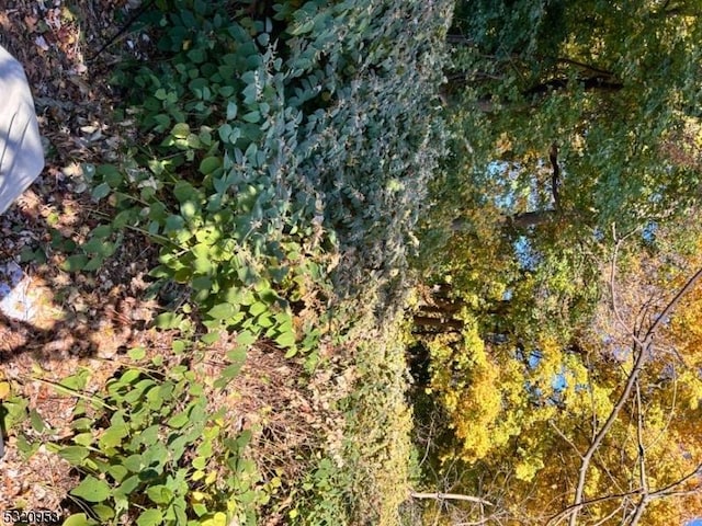 142 W Blackwell St, Dover Town NJ, 07801 land for sale