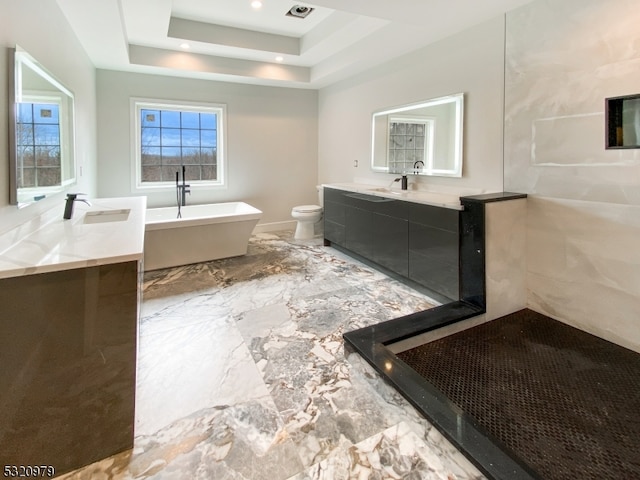 bathroom featuring vanity, a tray ceiling, toilet, and a bathing tub