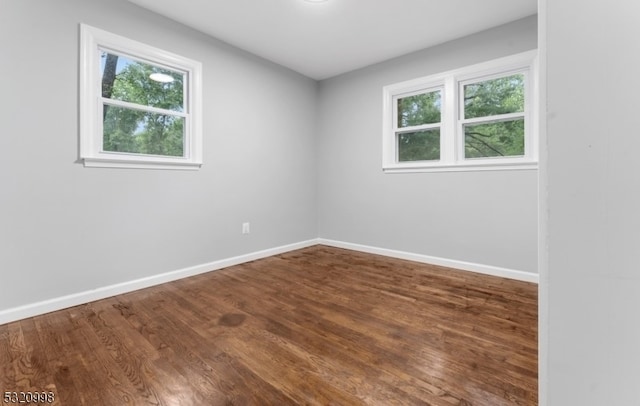 spare room featuring hardwood / wood-style flooring and a wealth of natural light