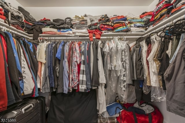 view of spacious closet