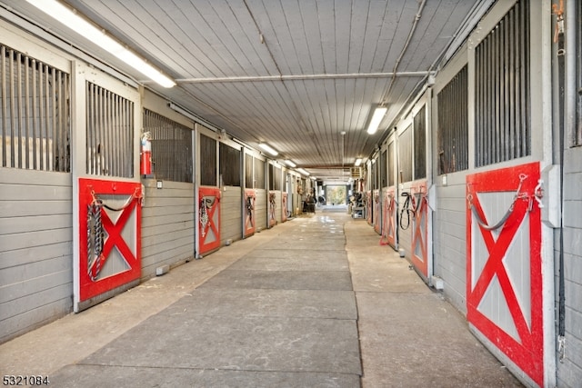 view of horse barn