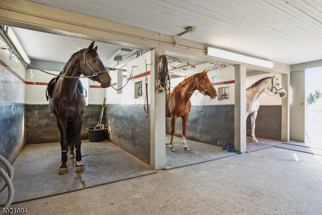 view of stable