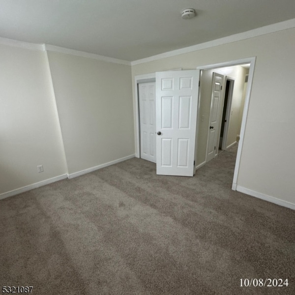 unfurnished bedroom featuring crown molding and carpet flooring