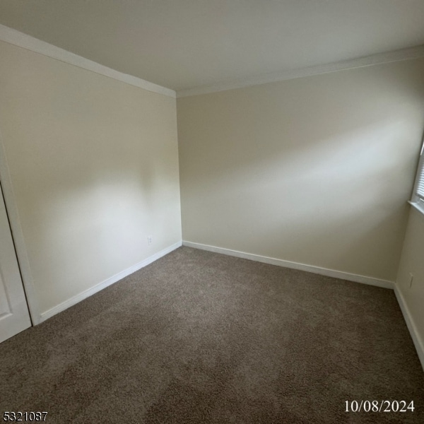 carpeted empty room with crown molding