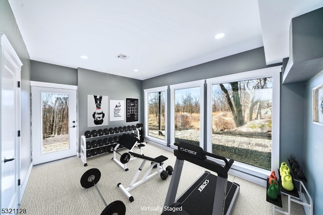 exercise area featuring carpet floors