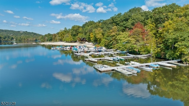 view of water feature with a boat dock