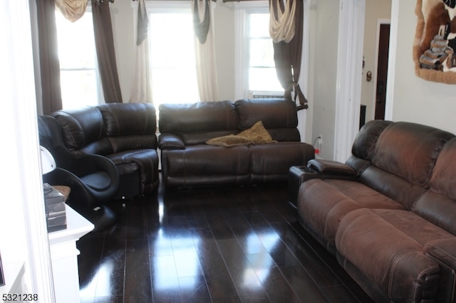 living room with dark hardwood / wood-style floors