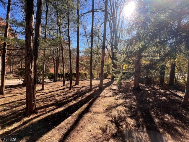 view of landscape