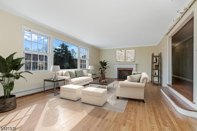 living room featuring light hardwood / wood-style flooring, crown molding, and a baseboard radiator