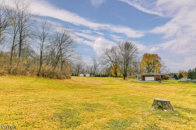 view of yard with a storage unit and a garage