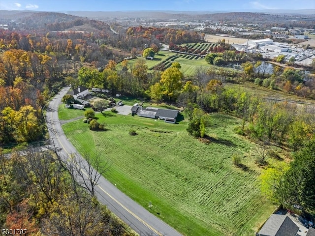 drone / aerial view featuring a rural view