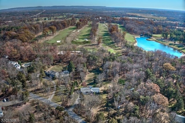 bird's eye view with a water view and a view of trees