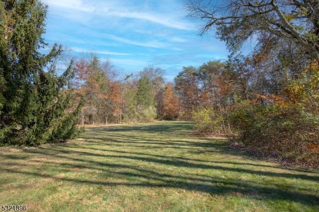 view of yard featuring a view of trees