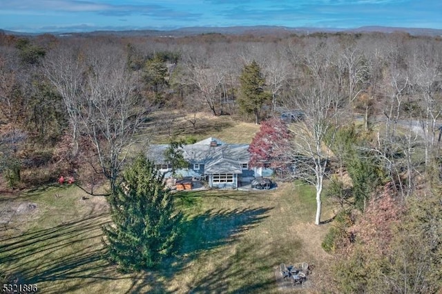 aerial view with a forest view