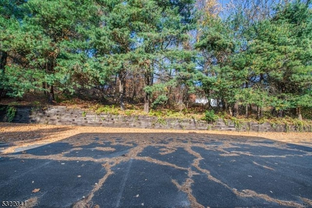74 S Powder Mill Rd, Parsippany-Troy Hills Twp, NJ 07950 - view of road