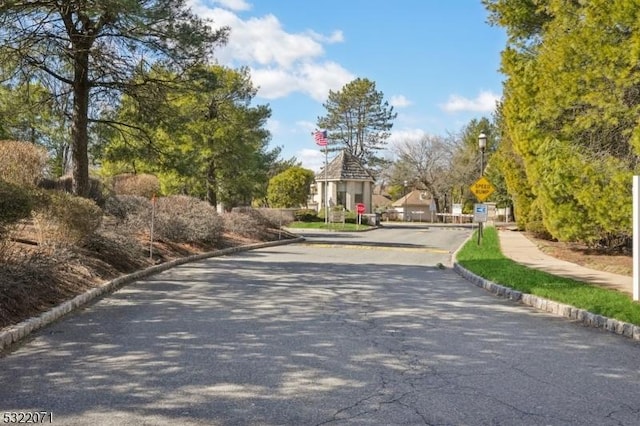 view of street with traffic signs and curbs