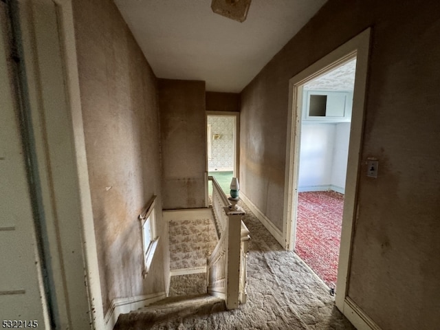 hall featuring plenty of natural light and light carpet