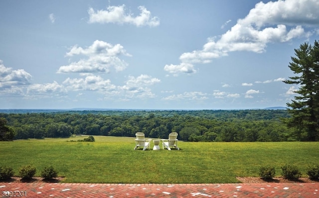 view of yard with a forest view