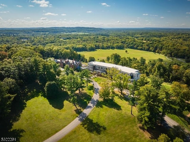 aerial view with a wooded view