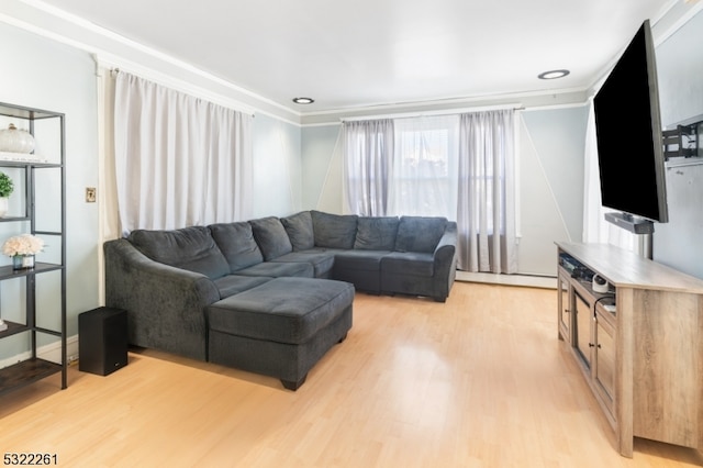 living room with crown molding and light wood-type flooring