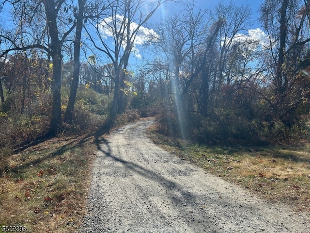 view of road