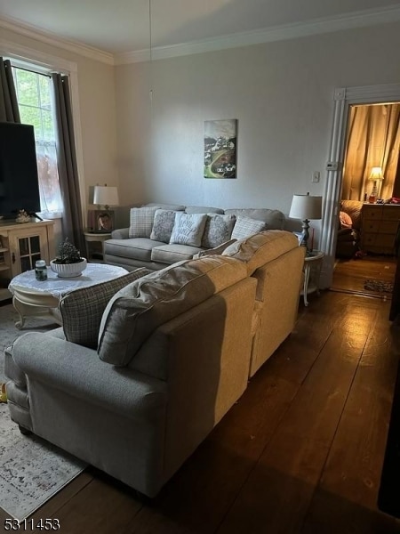 living room with dark hardwood / wood-style floors and ornamental molding