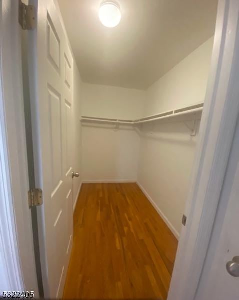 walk in closet featuring hardwood / wood-style flooring