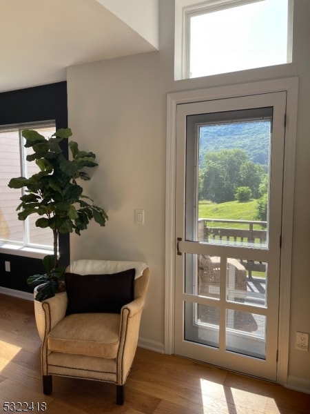 entryway featuring hardwood / wood-style floors and a wealth of natural light