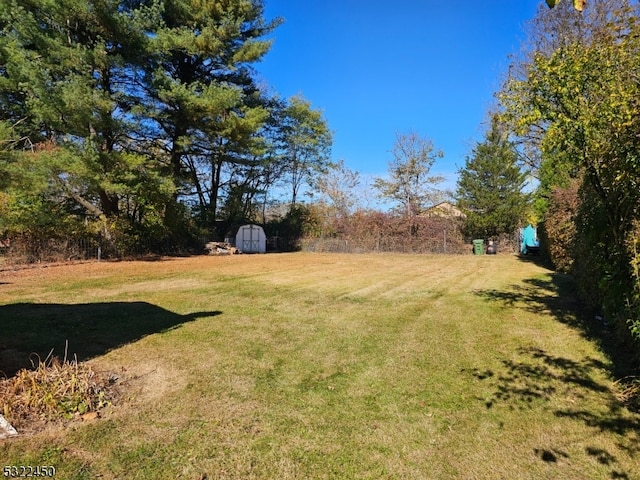 view of yard with a storage shed