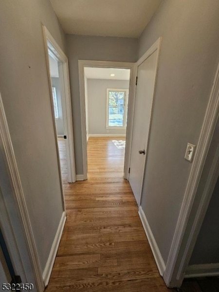 hallway featuring wood-type flooring