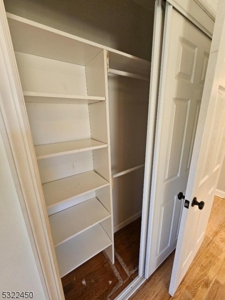 view of closet