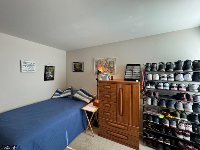 bedroom with carpet flooring