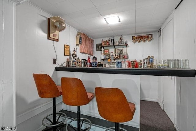 bar with carpet flooring and a dry bar