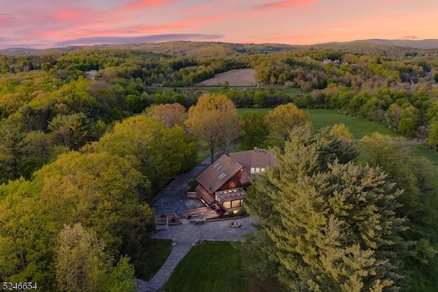 view of aerial view at dusk