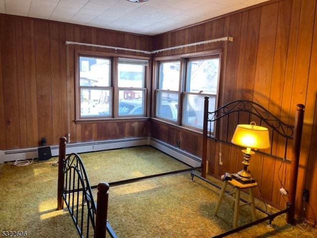 interior space featuring wooden walls and carpet floors