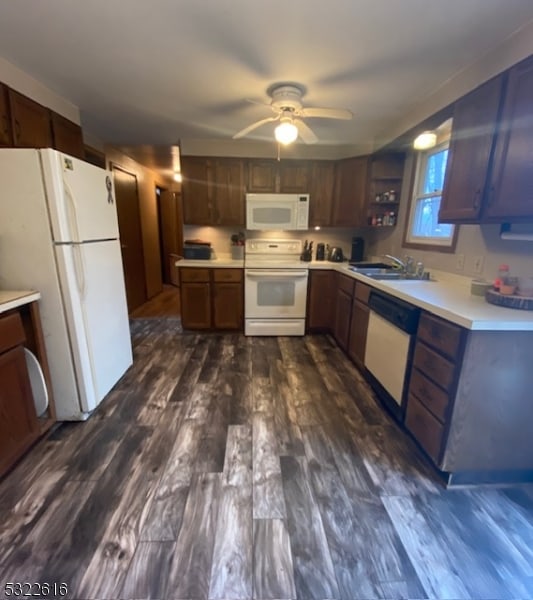 kitchen featuring white appliances, dark hardwood / wood-style floors, ceiling fan, and sink