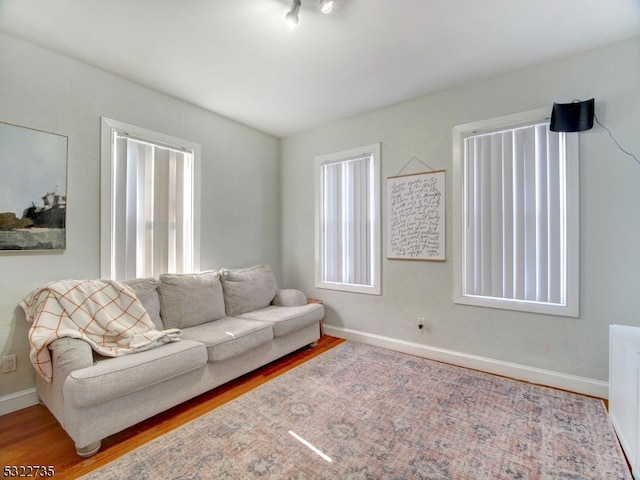 living room featuring hardwood / wood-style flooring