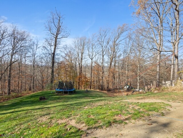 view of yard featuring a trampoline