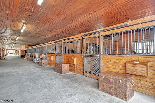 view of horse barn