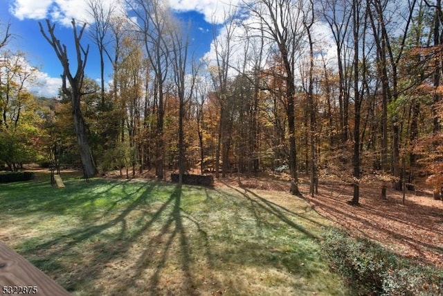 view of yard featuring a forest view