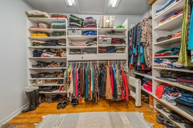 spacious closet with light hardwood / wood-style flooring