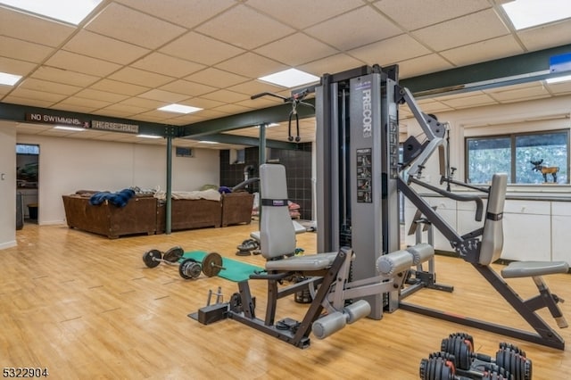 workout area featuring a paneled ceiling and hardwood / wood-style floors