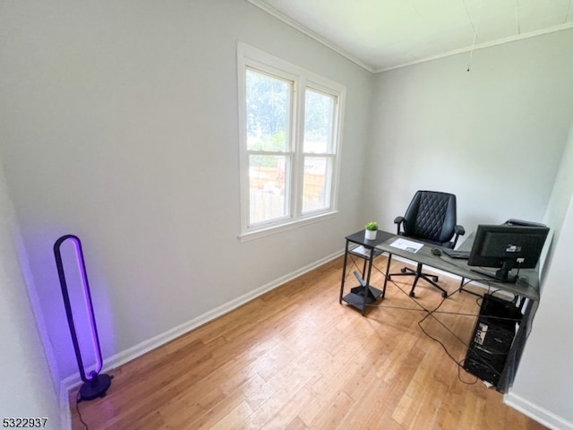 office space with hardwood / wood-style floors and crown molding